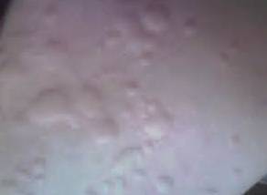ݡô