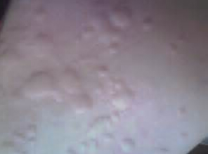 Ϊʲôüݡ